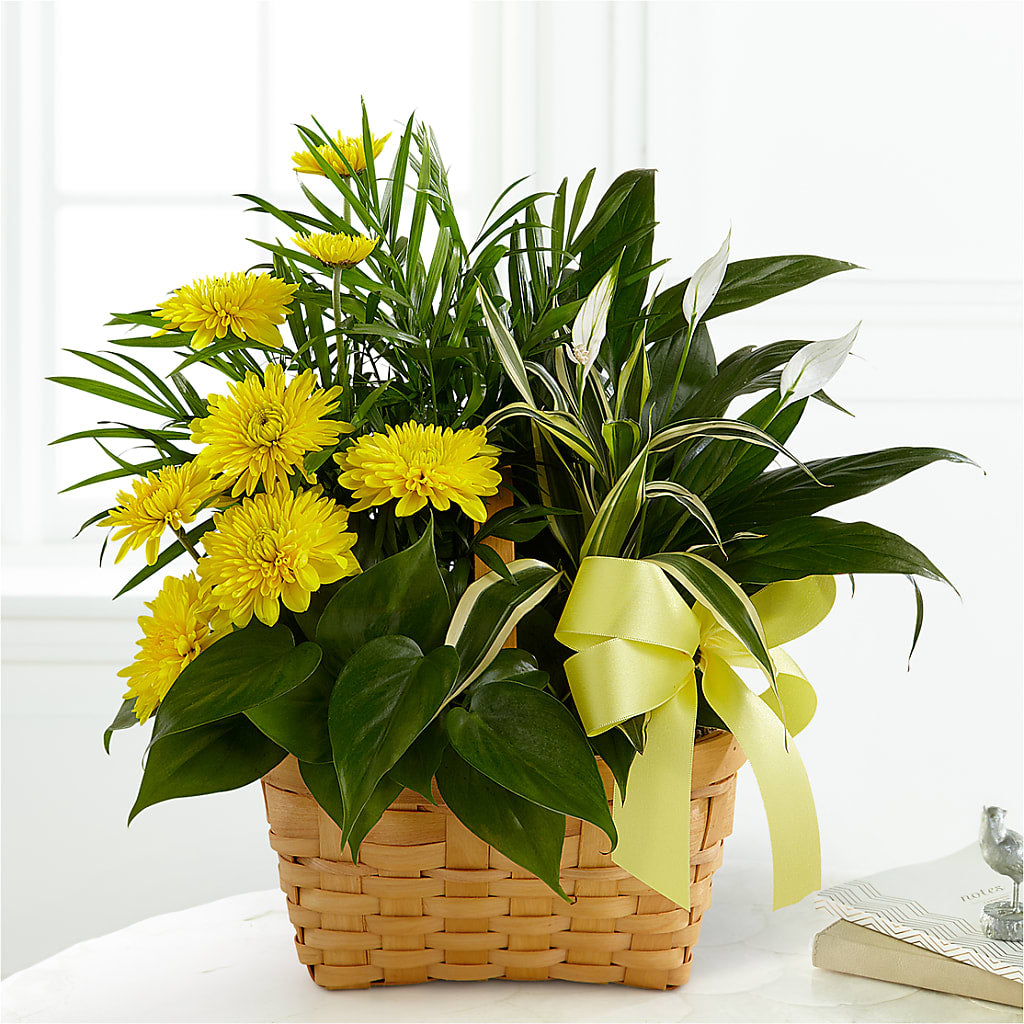Loving Light Dishgarden – Bloom Balloon Llc, Newark DE
