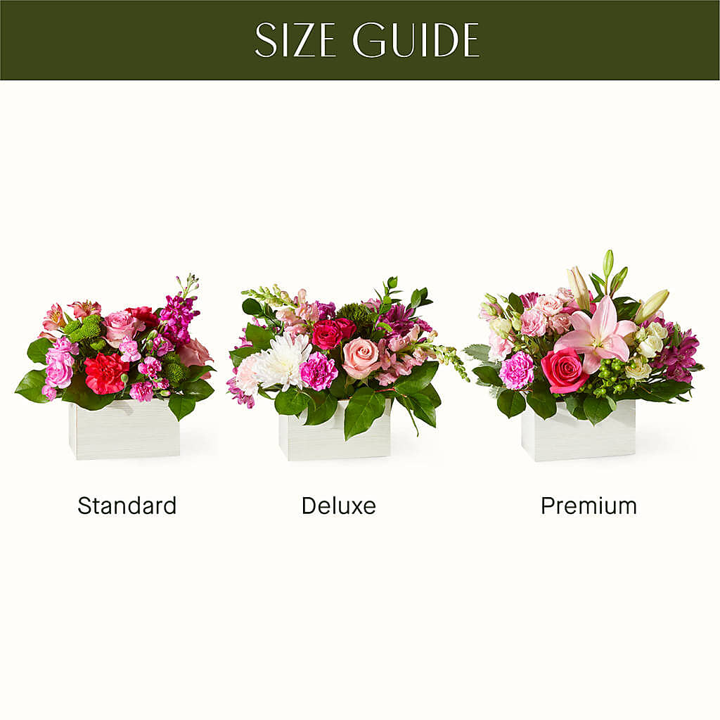 Sweetberry Box – A Florist Original – Bloom Balloon Llc, Newark DE
