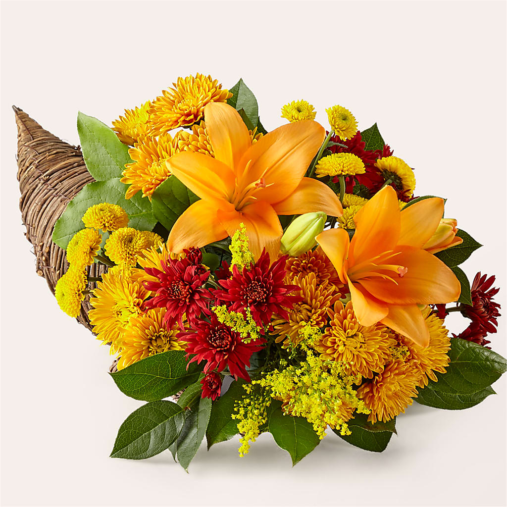 Feast of Color Cornucopia – Bloom Balloon Llc, Newark DE