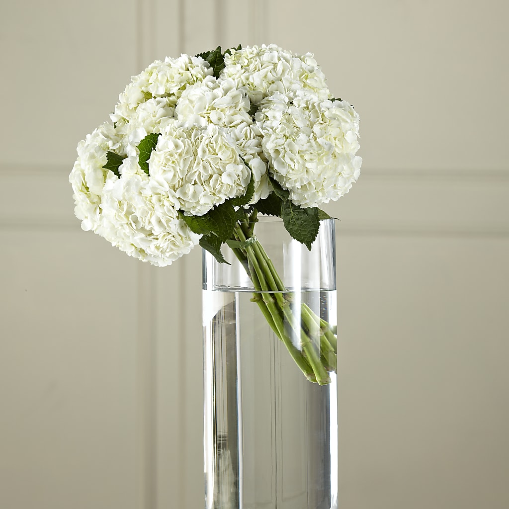 White Hydrangea Hand-Tied Bouquet – Bloom Balloon Llc, Newark DE