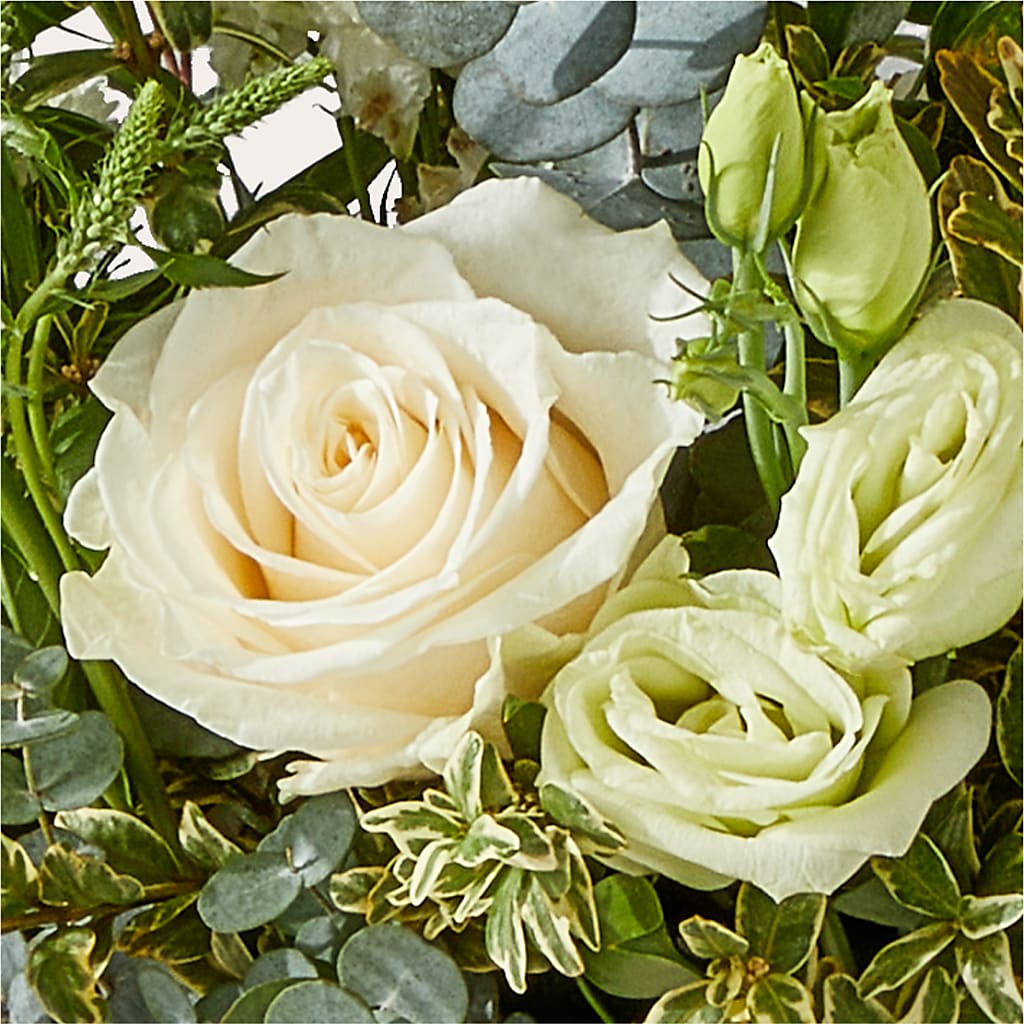 Cashmere Bouquet –  Bloom Balloon Llc, Newark DE