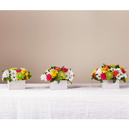 Sorbet Bouquet –  Bloom Balloon Llc, Newark DE