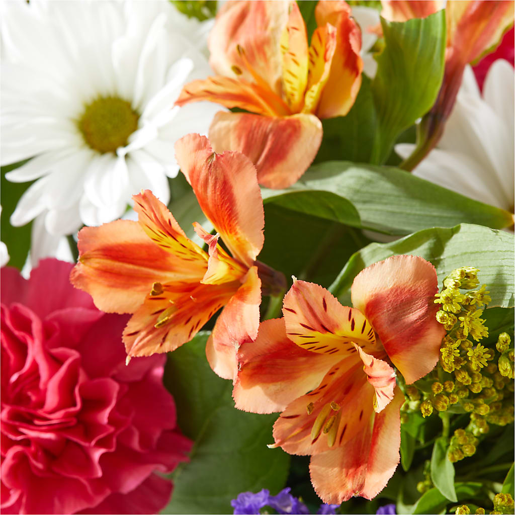 Oopsie Daisy Box Bouquet –  Bloom Balloon Llc, Newark DE