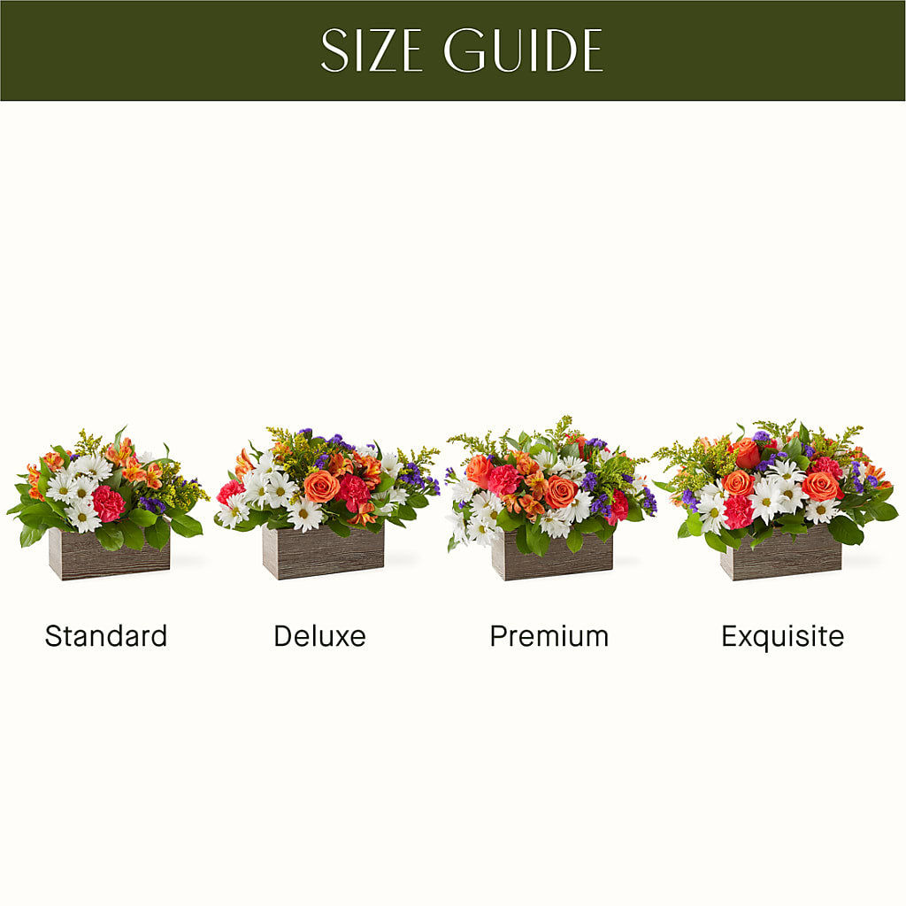 Oopsie Daisy Box Bouquet –  Bloom Balloon Llc, Newark DE