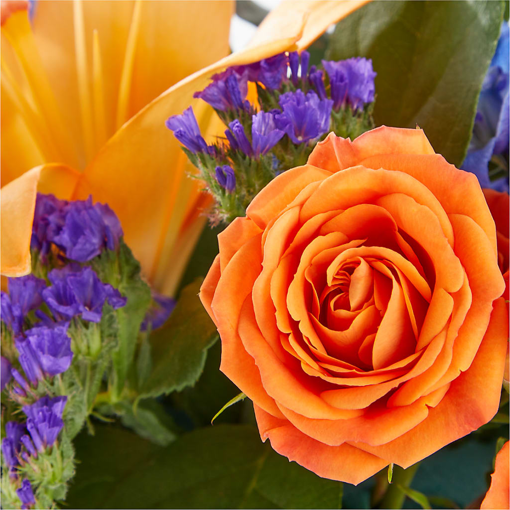 Radiant Citrus Box Bouquet –  Bloom Balloon Llc, Newark DE
