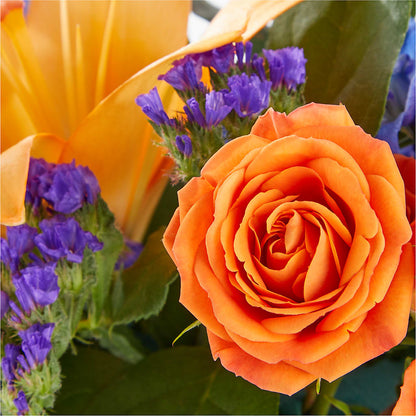 Radiant Citrus Box Bouquet –  Bloom Balloon Llc, Newark DE