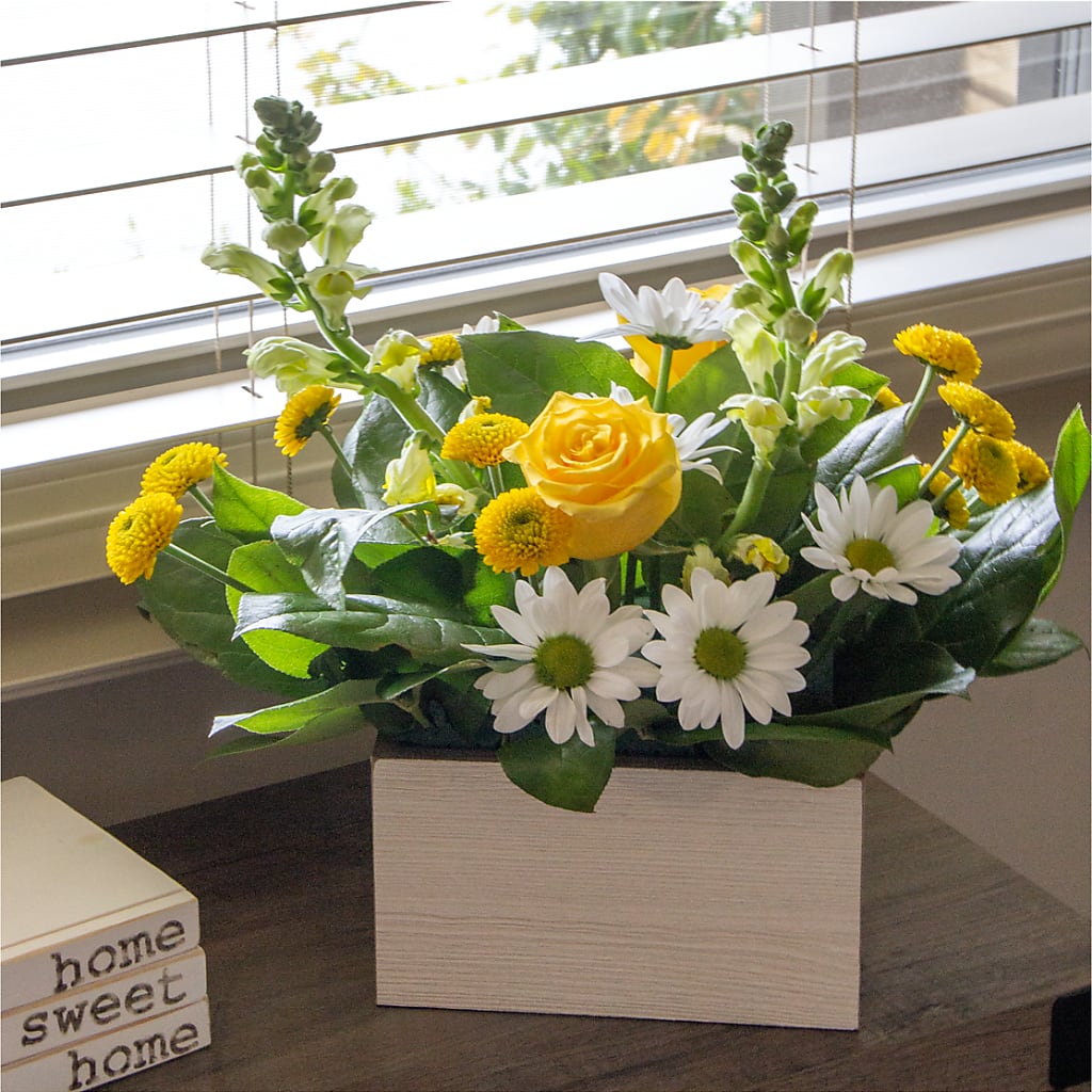 Sun Salutation Box Bouquet –  Bloom Balloon Llc, Newark DE