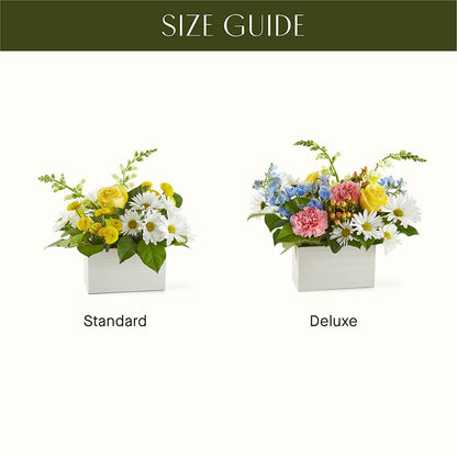 Sun Salutation Box Bouquet –  Bloom Balloon Llc, Newark DE