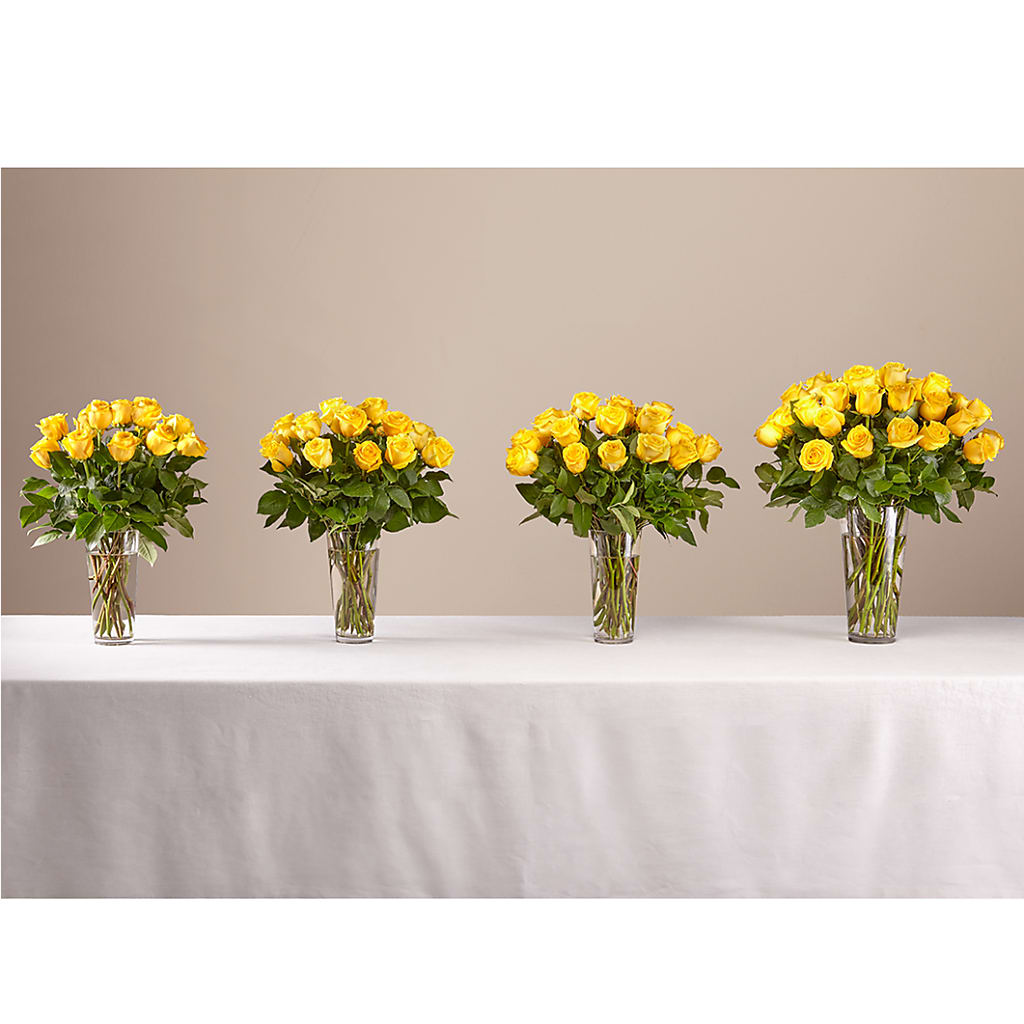 Long Stem Yellow Rose Bouquet –  Bloom Balloon Llc, Newark DE