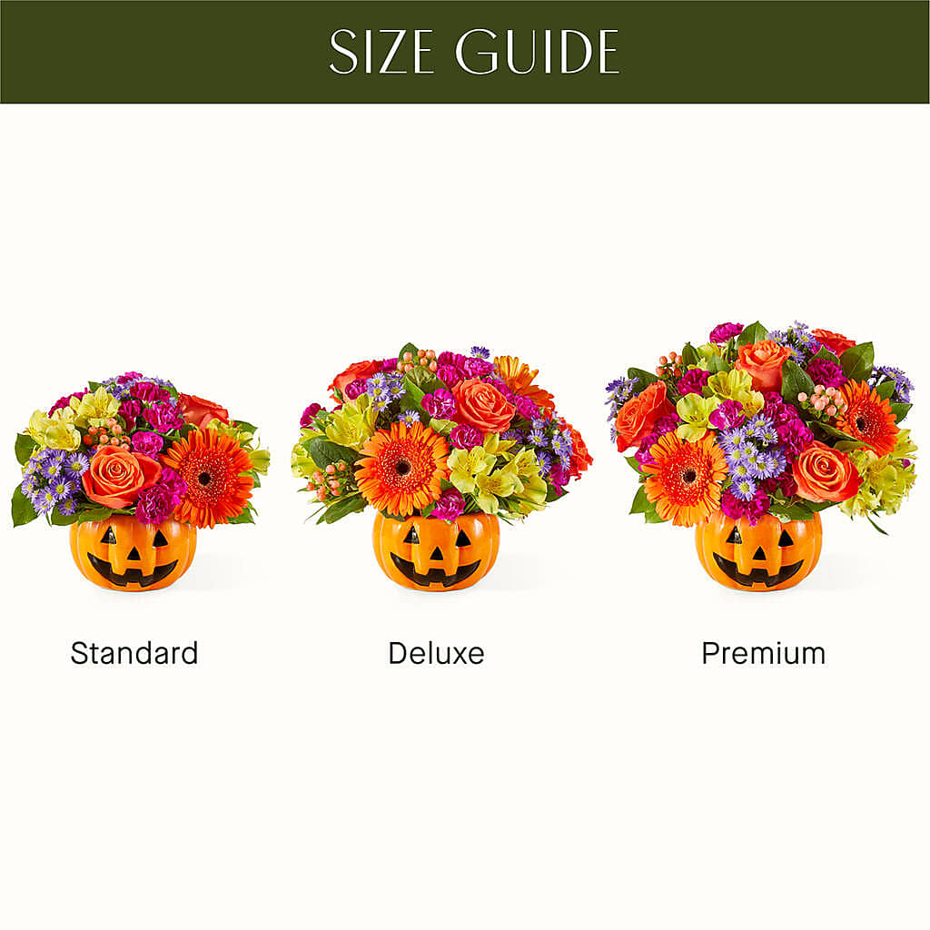 Tricks & Treats Pumpkin –  Bloom Balloon Llc, Newark DE