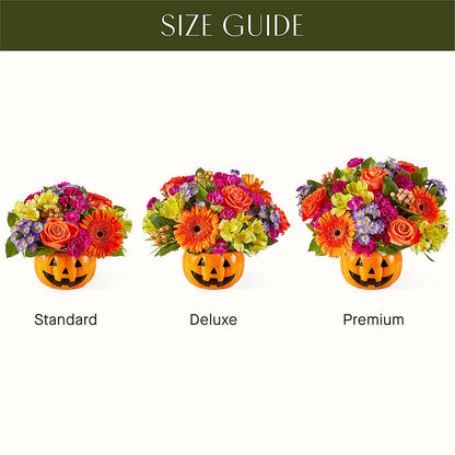 Tricks & Treats Pumpkin –  Bloom Balloon Llc, Newark DE
