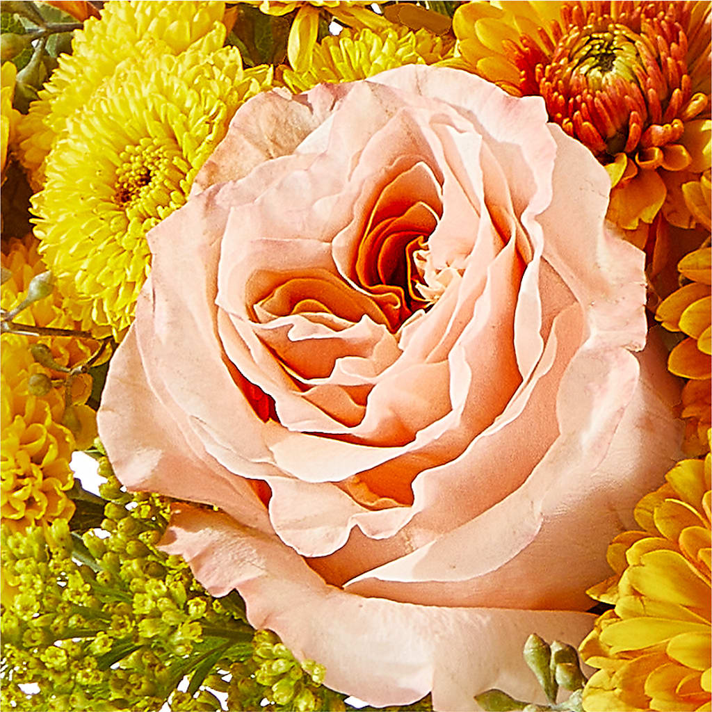 Peachy Pumpkin –  Bloom Balloon Llc, Newark DE