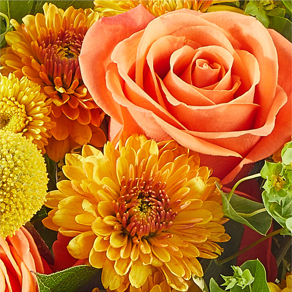 Gourdgeous Pumpkin –  Bloom Balloon Llc, Newark DE