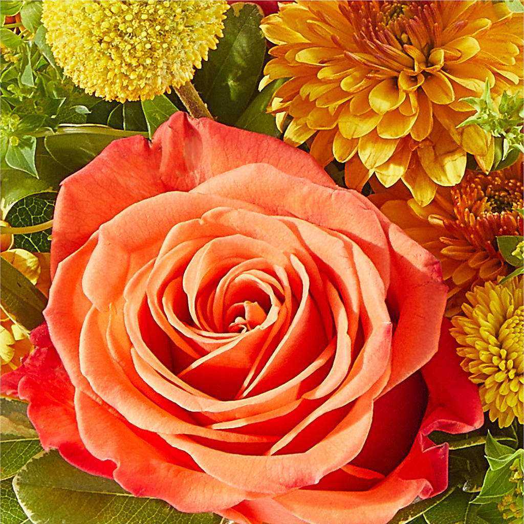 Gourdgeous Pumpkin –  Bloom Balloon Llc, Newark DE