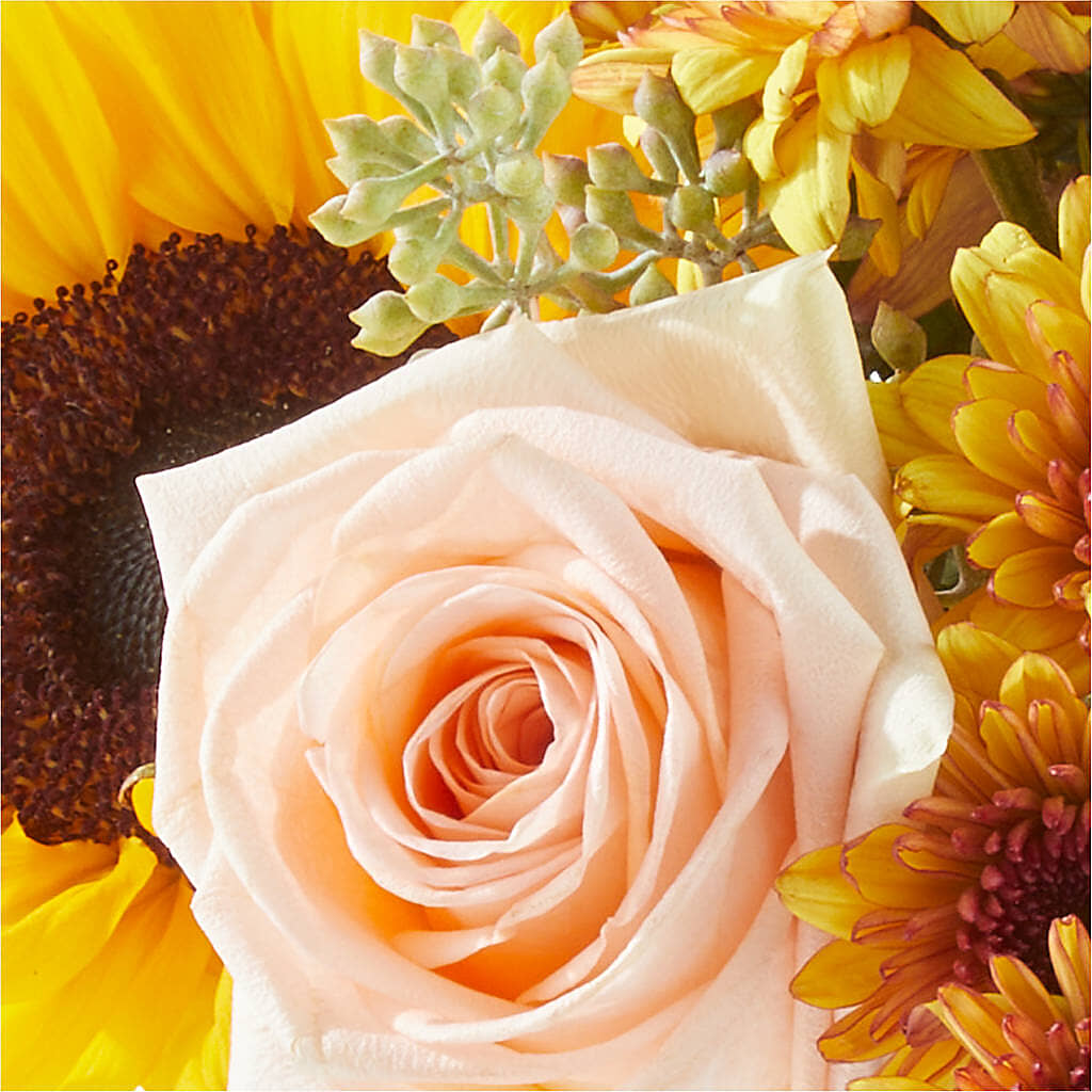 Pumpkin to Talk About Bouquet –  Bloom Balloon Llc, Newark DE