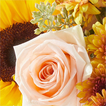 Pumpkin to Talk About Bouquet –  Bloom Balloon Llc, Newark DE