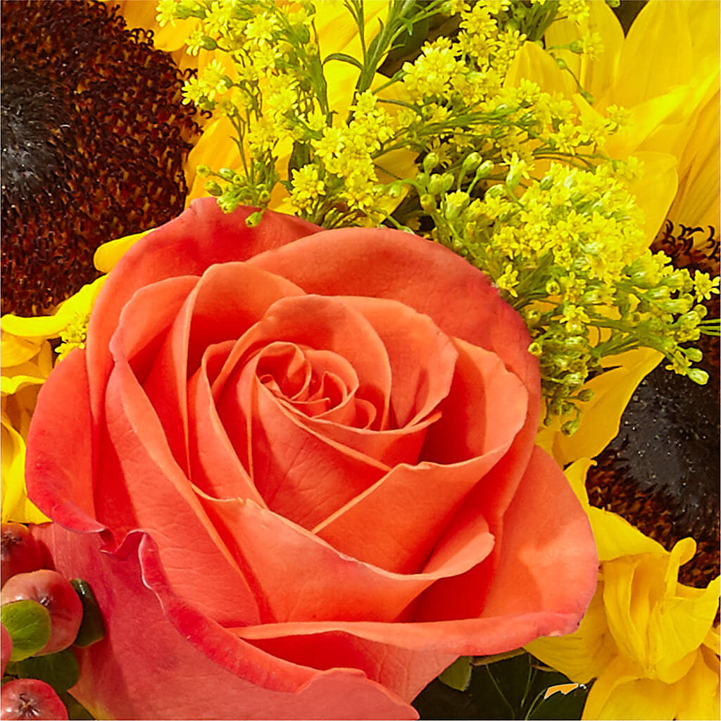 Pick of the Patch Pumpkin Bouquet –  Bloom Balloon Llc, Newark DE