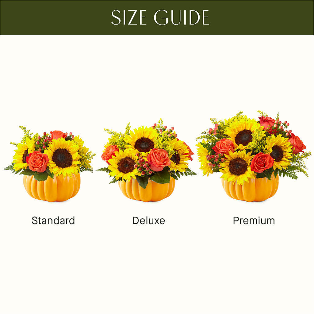 Pick of the Patch Pumpkin Bouquet –  Bloom Balloon Llc, Newark DE