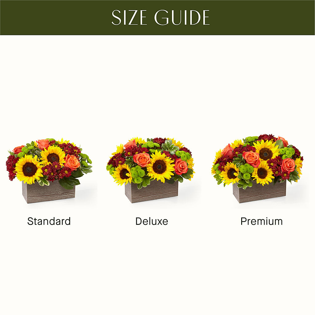 Happy Harvest Garden –  Bloom Balloon Llc, Newark DE