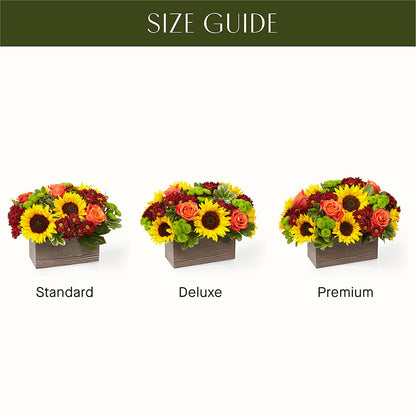 Happy Harvest Garden –  Bloom Balloon Llc, Newark DE