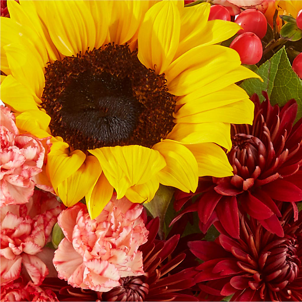 Fresh Cider Bouquet –  Bloom Balloon Llc, Newark DE