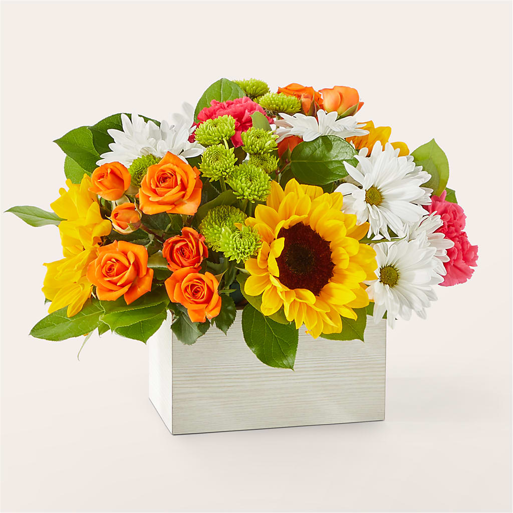 Sun-drenched Blooms Box Bouquet –  Bloom Balloon Llc, Newark DE