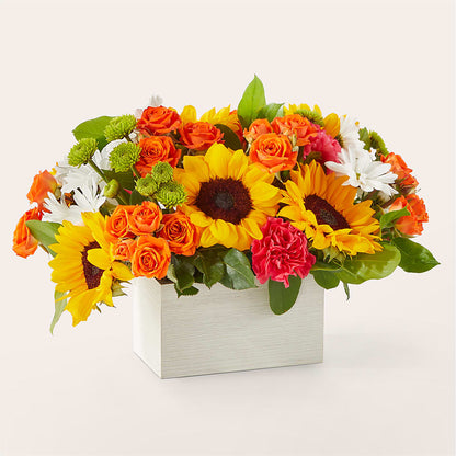 Sun-drenched Blooms Box Bouquet –  Bloom Balloon Llc, Newark DE