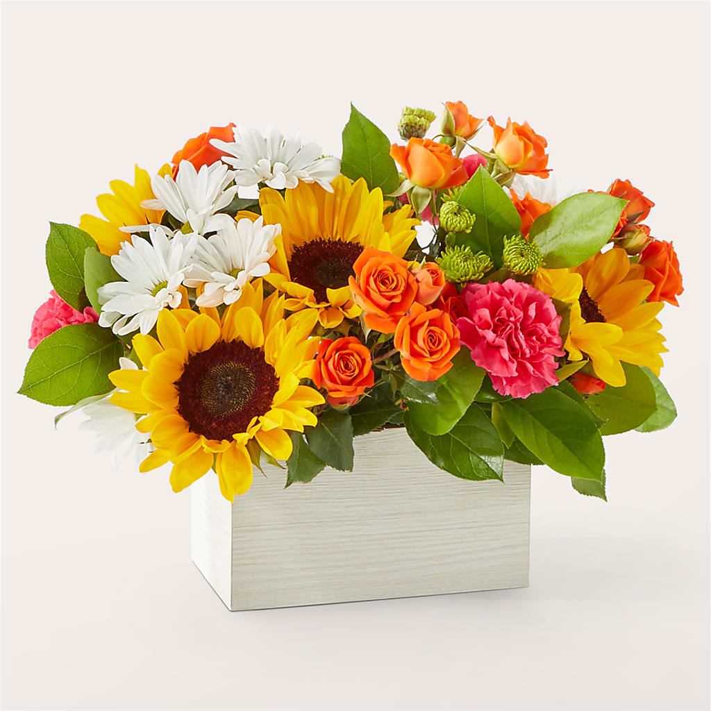Sun-drenched Blooms Box Bouquet –  Bloom Balloon Llc, Newark DE