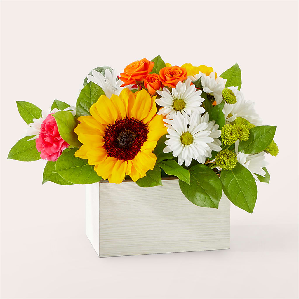 Sun-drenched Blooms Box Bouquet –  Bloom Balloon Llc, Newark DE