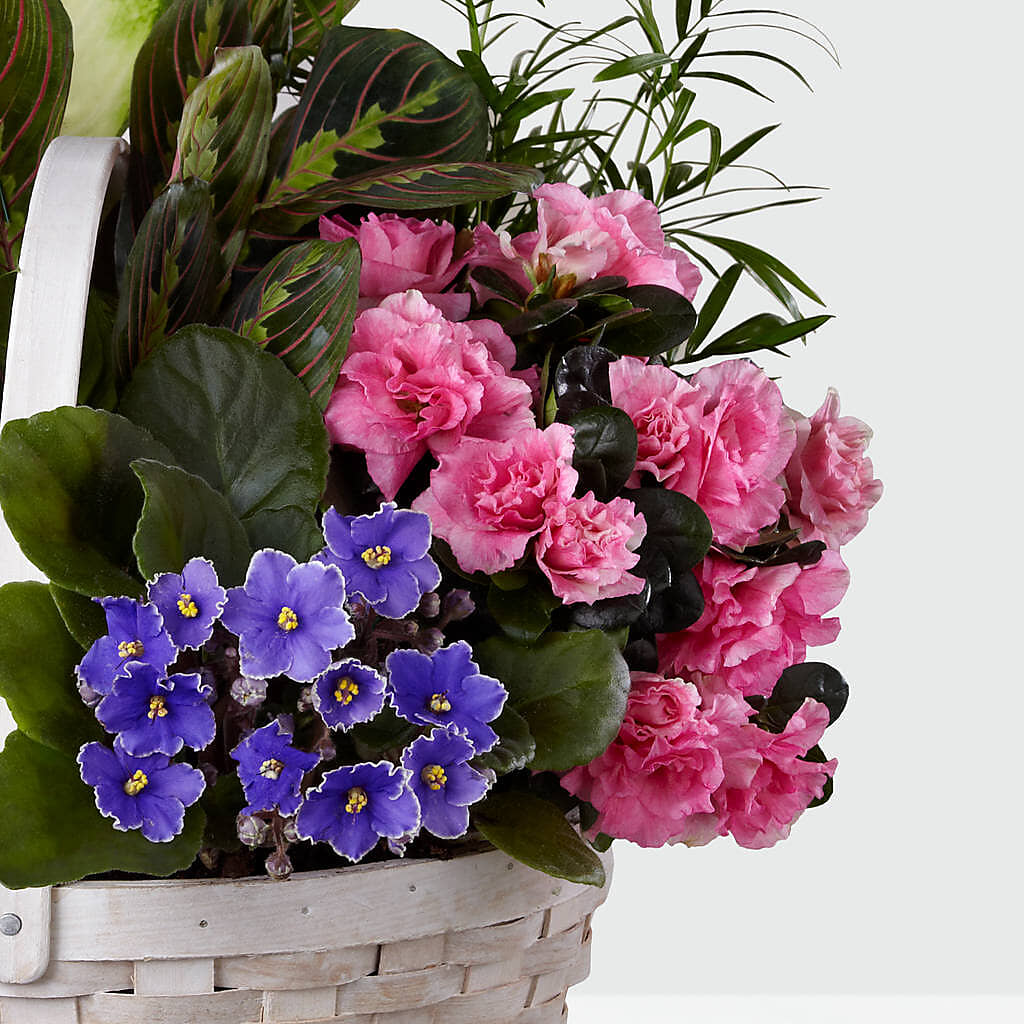 Peaceful Garden Planter –  Bloom Balloon Llc, Newark DE