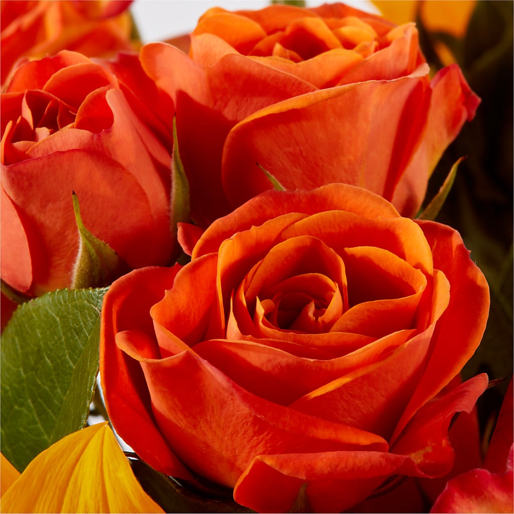 Picnic in the Park Bouquet –  Bloom Balloon Llc, Newark DE