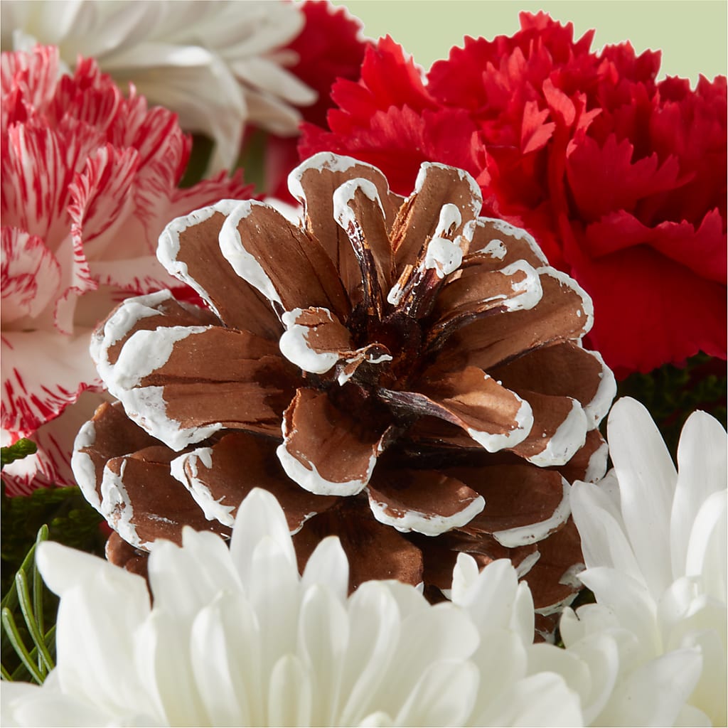 Candy Cane Lane Bouquet –  Bloom Balloon Llc, Newark DE