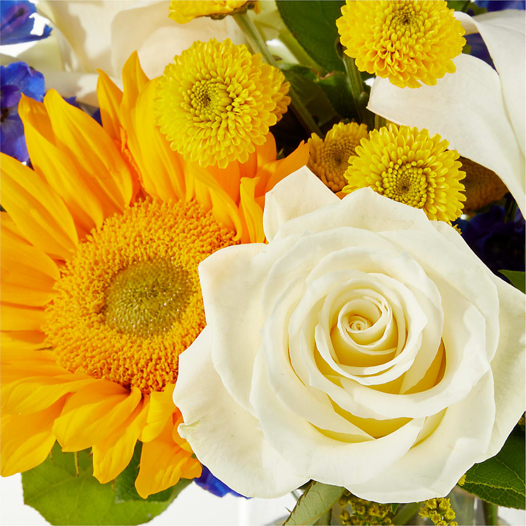 Stargazing Bouquet –  Bloom Balloon Llc, Newark DE