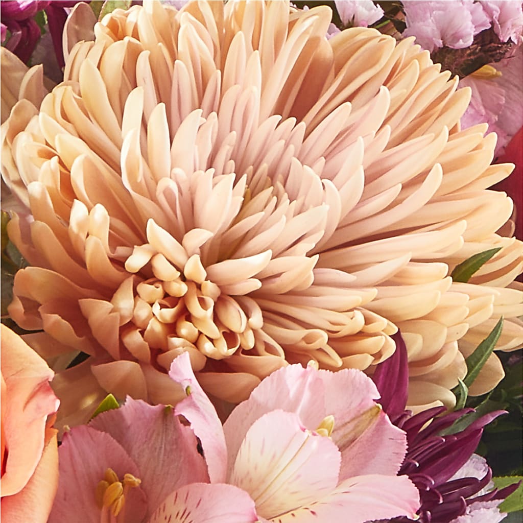 Berry Cobbler Bouquet –  Bloom Balloon Llc, Newark DE