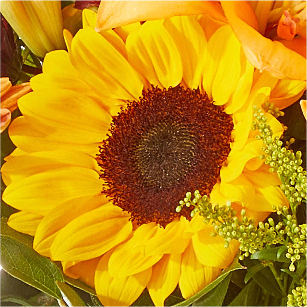 Seasons Change Bouquet –  Bloom Balloon Llc, Newark DE