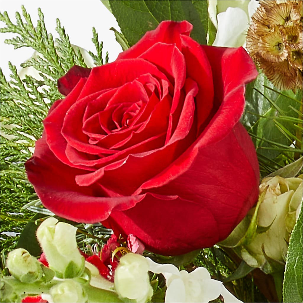 Deck the Halls Bouquet –  Bloom Balloon Llc, Newark DE