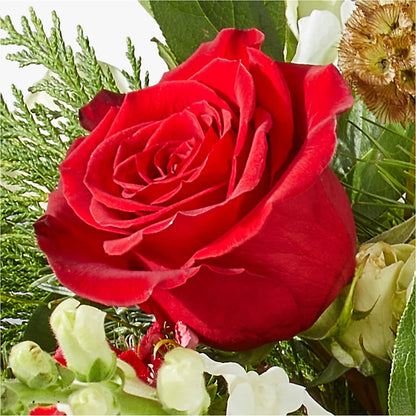 Deck the Halls Bouquet –  Bloom Balloon Llc, Newark DE