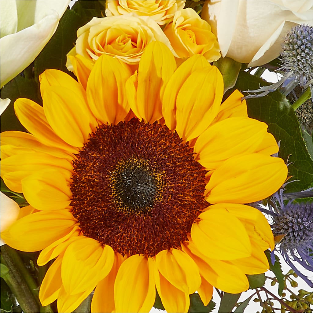 Wonderfully Sunny Bouquet –  Bloom Balloon Llc, Newark DE