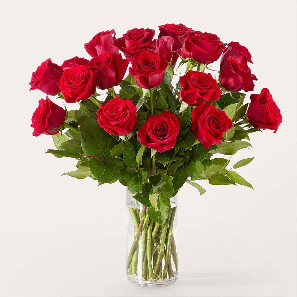 The One Red Rose Bouquet –  Bloom Balloon Llc, Newark DE