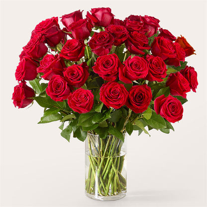 The One Red Rose Bouquet –  Bloom Balloon Llc, Newark DE