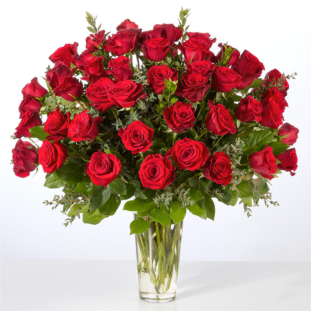 Forever Yours Fifty Stem Red Rose Bouquet –  Bloom Balloon Llc, Newark DE