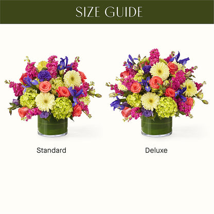 The Couture –  Bloom Balloon Llc, Newark DE