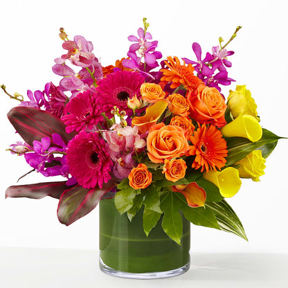 The Mosaic –  Bloom Balloon Llc, Newark DE
