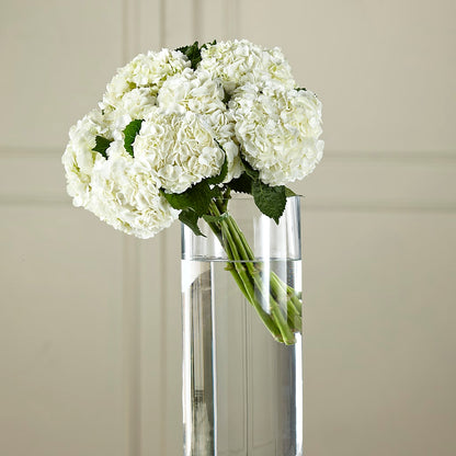 White Hydrangea Hand-Tied Bouquet –  Bloom Balloon Llc, Newark DE